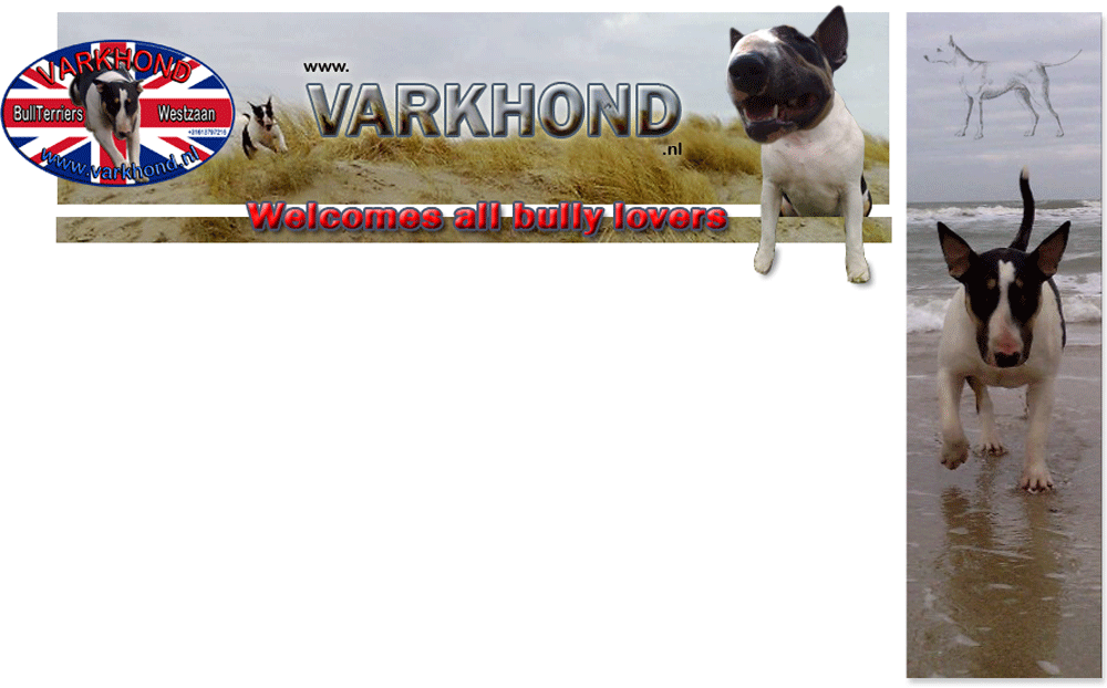 Achtergrond index pagina Varkhond.nl